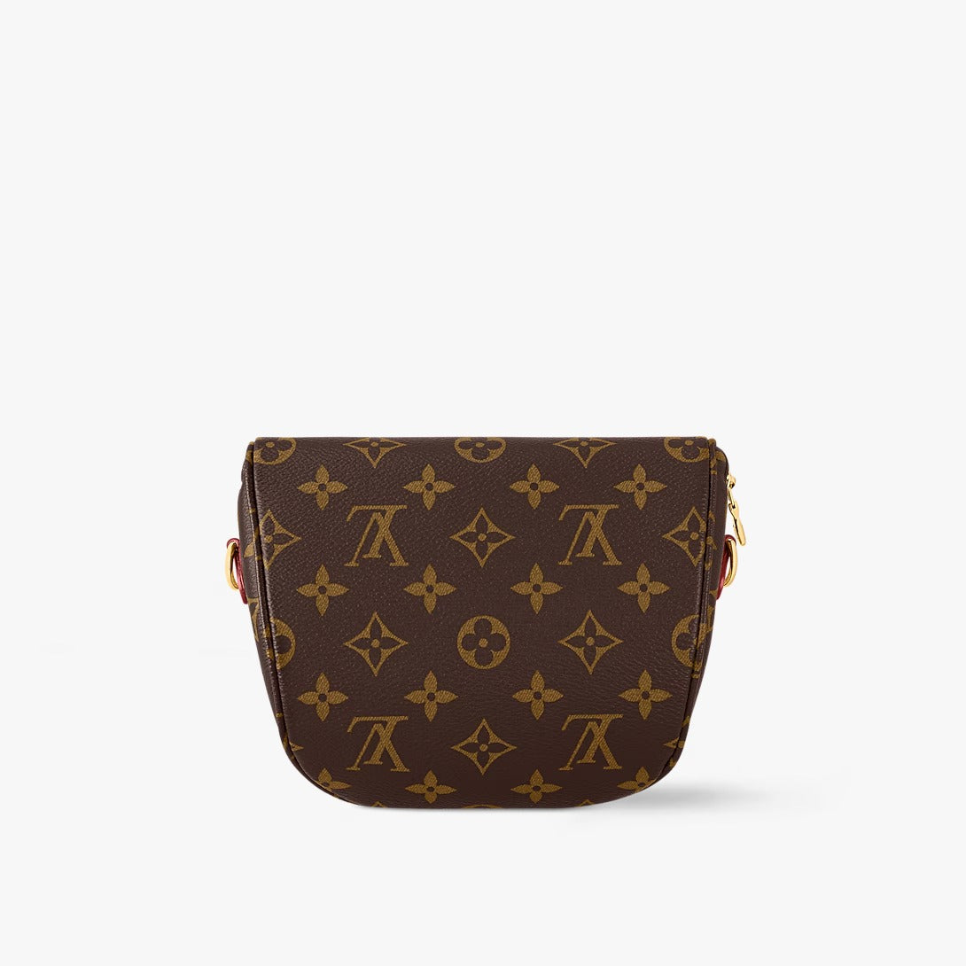 Louis Vuitton Pochette Bumbag Mini